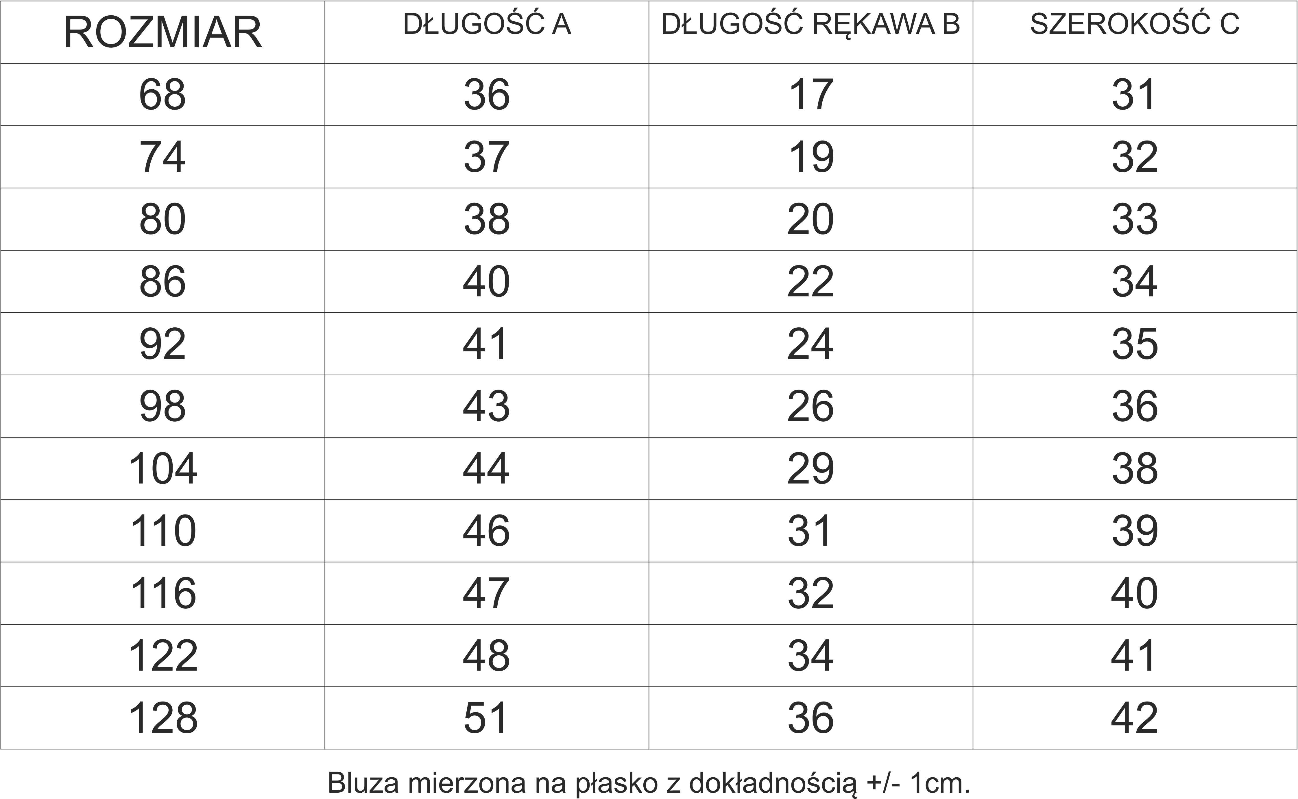 Bluza dresowa – wymiary