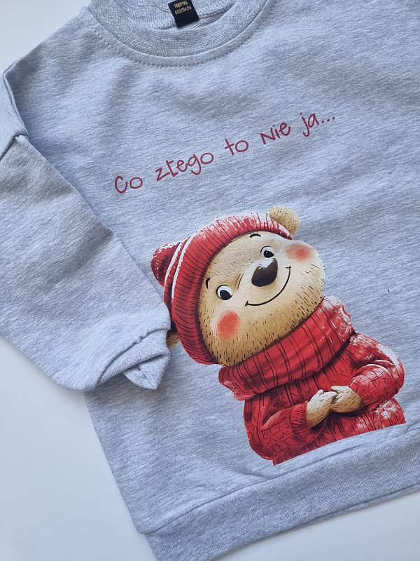 Bluza szara co złego to nie ja rozmiar 74