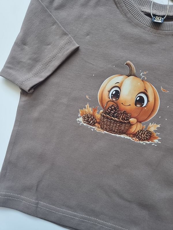 Koszulka kawowa krótki rękaw dynia z koszem szyszek rozmiar 80