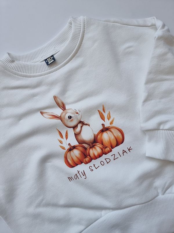 Bluza ecru mały słodziak rozmiar 80