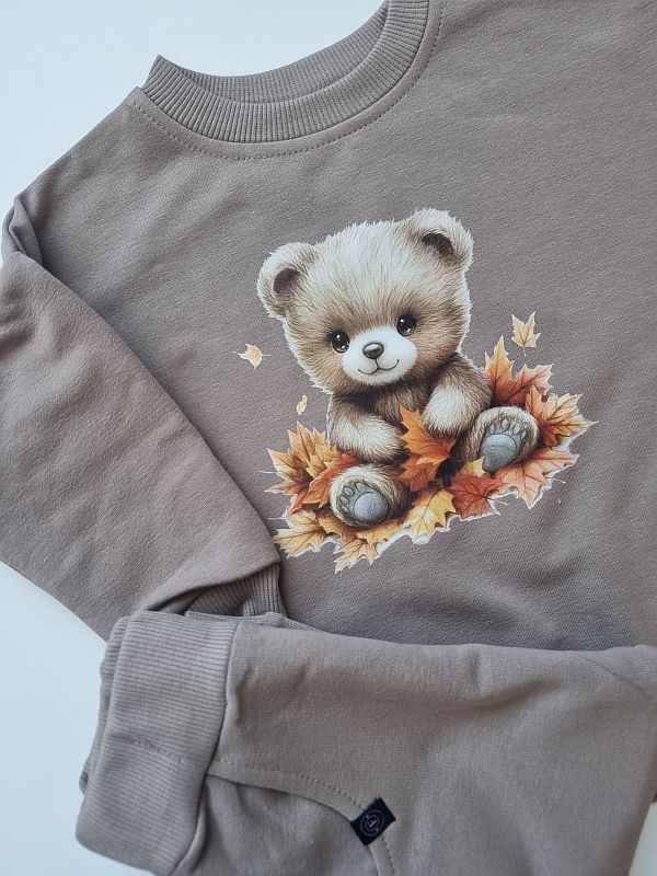 Komplet kawowy bluza + spodnie dresowe miś w liściach rozmiar 80