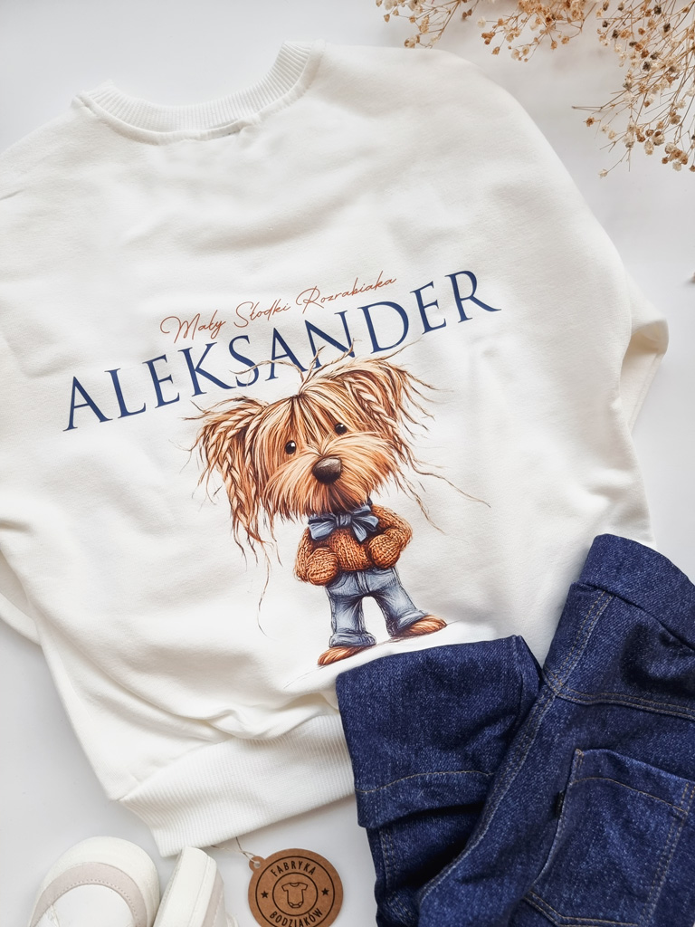 Bluza dziecięca z nadrukiem mały słodki rozrabiaka