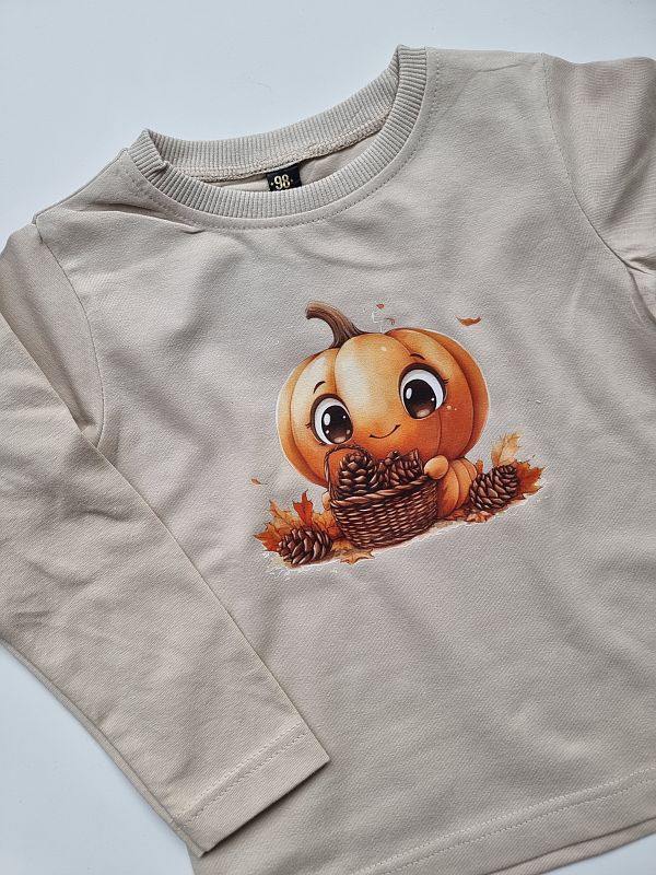 Koszulka beżowa długi rękaw dynia rozmiar 98