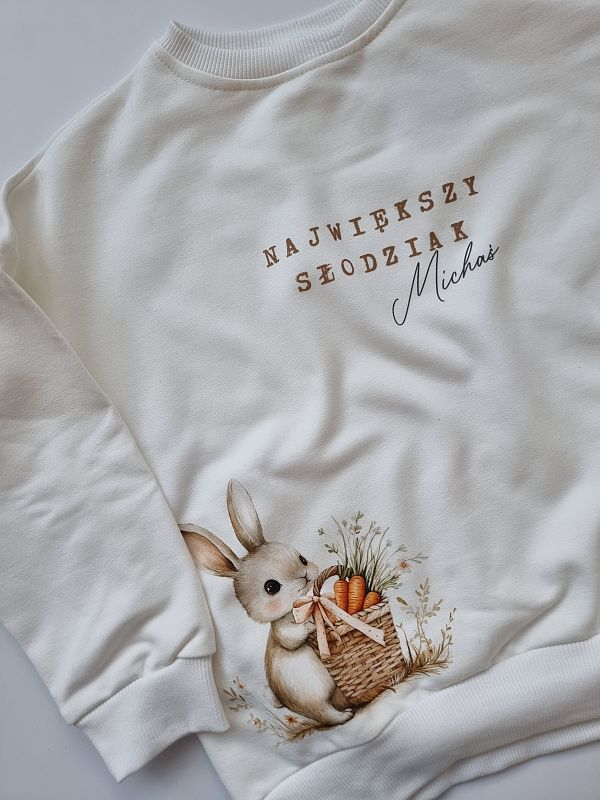 Bluza ecru największy słodziak Michaś rozmiar 116
