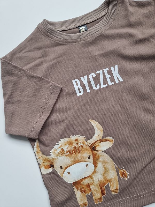 Koszulka kawowa krótki rękaw byczek rozmiar 92