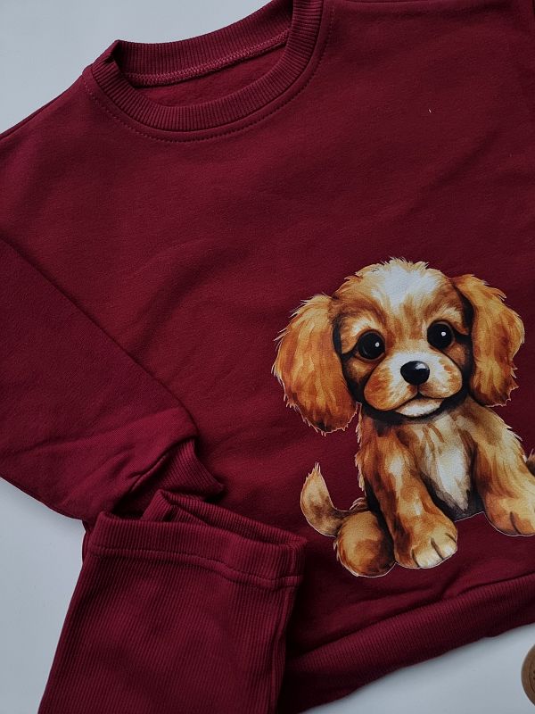 Komplet bordowy bluza + getry prążek pies rozmiar 92