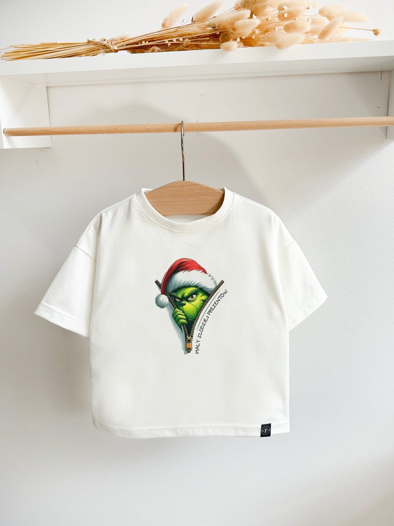 Koszulka dziecięca mały złodziej prezentów