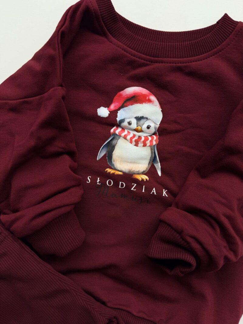 Komplet bordowy z pingwinkiem słodziak rozmiar 86