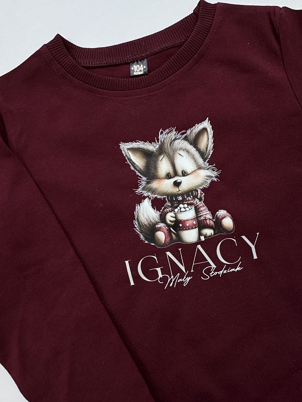 Koszulka bordowa długi rękaw Ignacy mały słodziak rozmiar 104