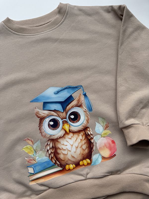 Bluza beżowa sowa rozmiar 116