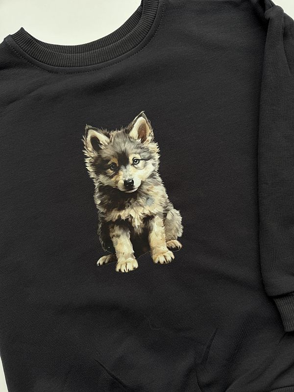 Bluza grafitowa wilk rozmiar 116