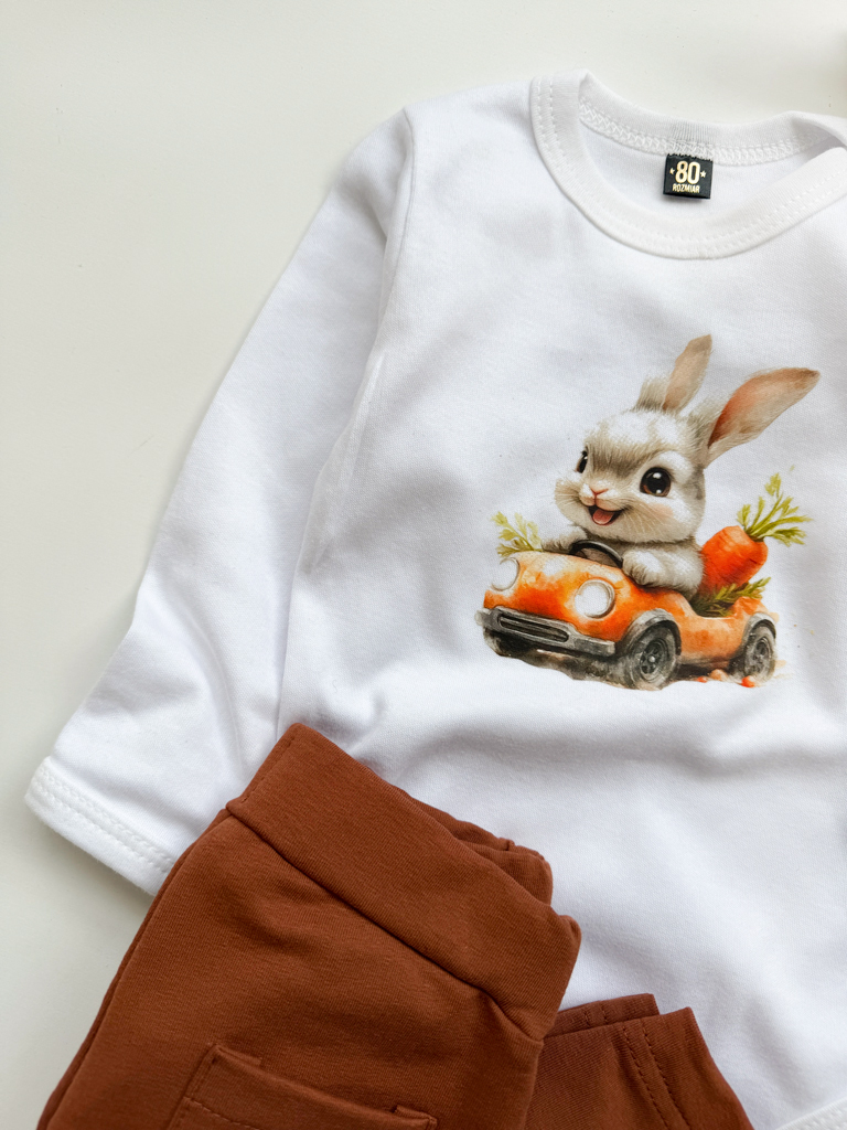 Body niemowlęce królik w aucie z marchewką