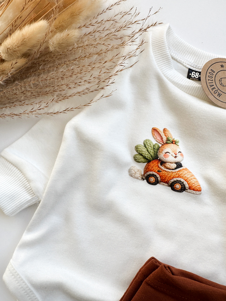 Body niemowlęce króliczek w marchewkowym aucie