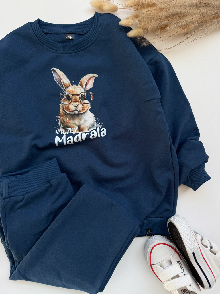 Komplet dla dziecka króliczek niezły mądrala (bluza + spodnie)