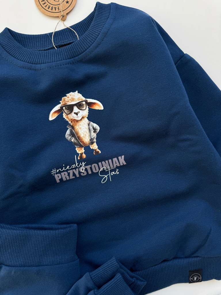 Komplet dla dziecka z owieczką niezły przystojniak (bluza + spodnie)