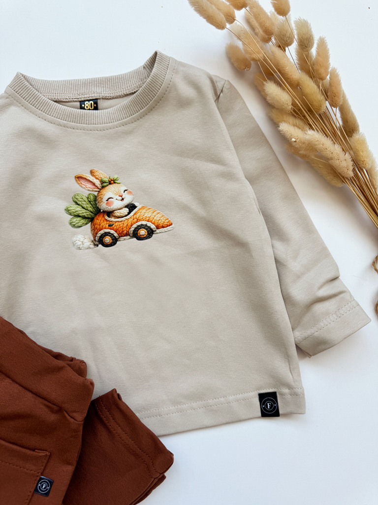 Koszulka dziecięca króliczek w marchewkowym aucie