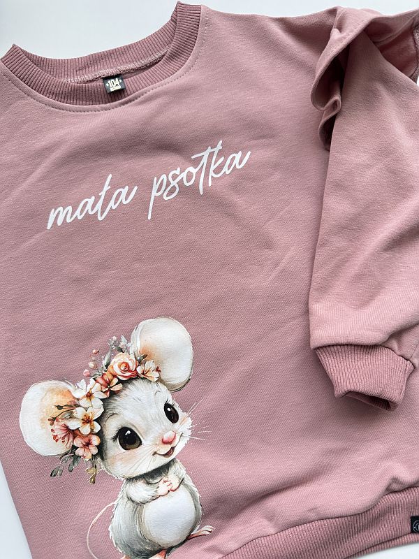 Bluza mała psotka rozmiar 104