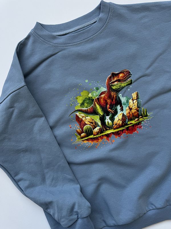 Bluza niebieska z trexem rozmiar 122