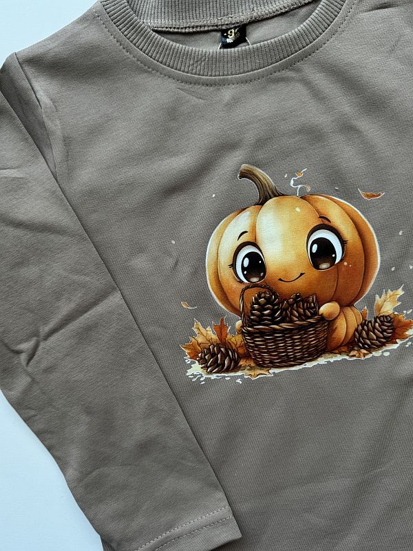 Koszulka z długim rękawemz dynią rozmiar 98