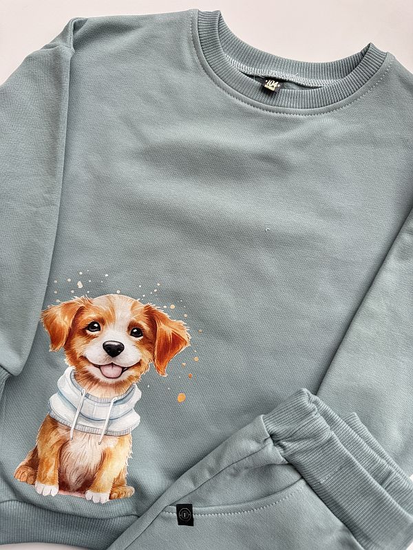 Komplet niebieski z pieskiem rozmiar 104