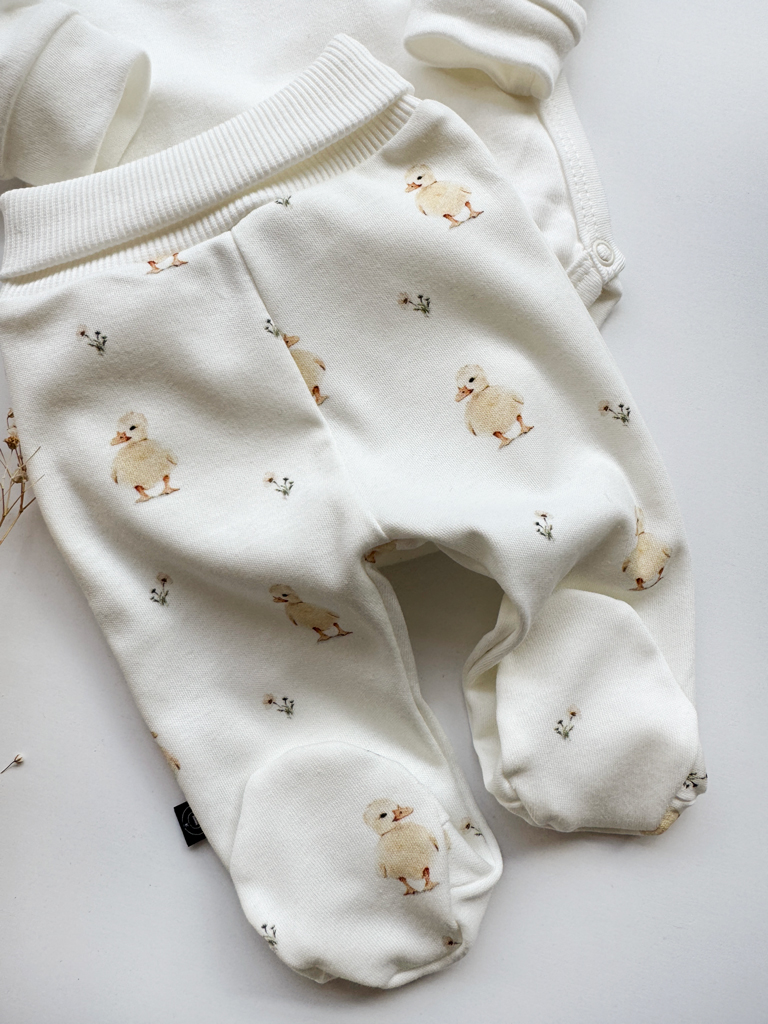 Półśpiochy niemowlęce kurczaczki