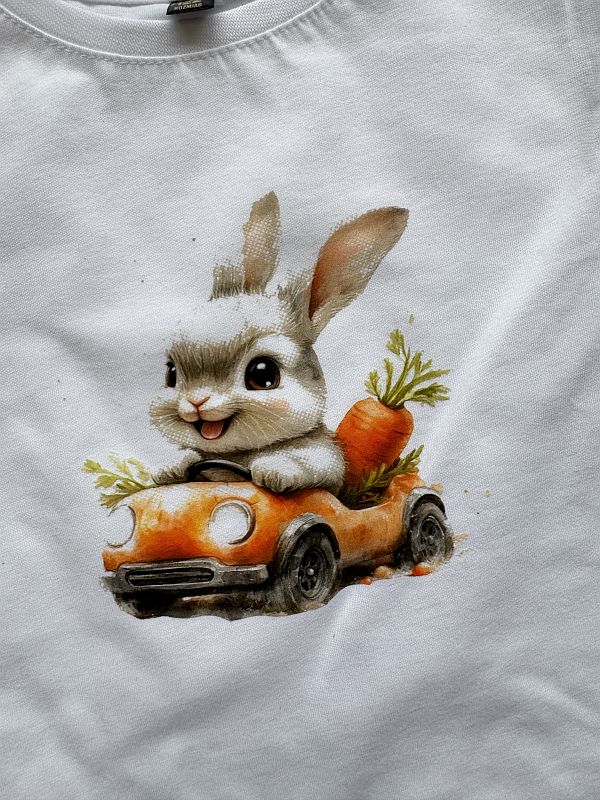 Koszulka biała z krótkim rękawem królik w aucie rozmiar 122