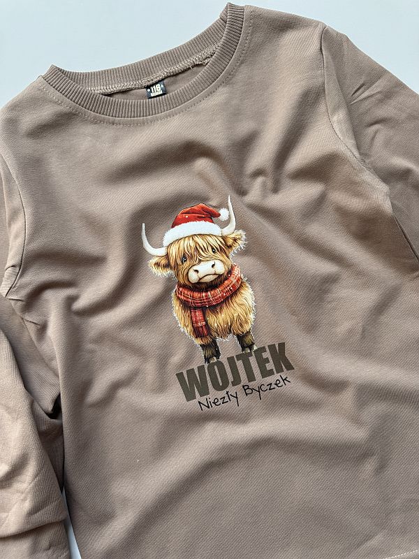 Koszulka kawowa z długim rękawem byczek Wojtek rozmiar 116