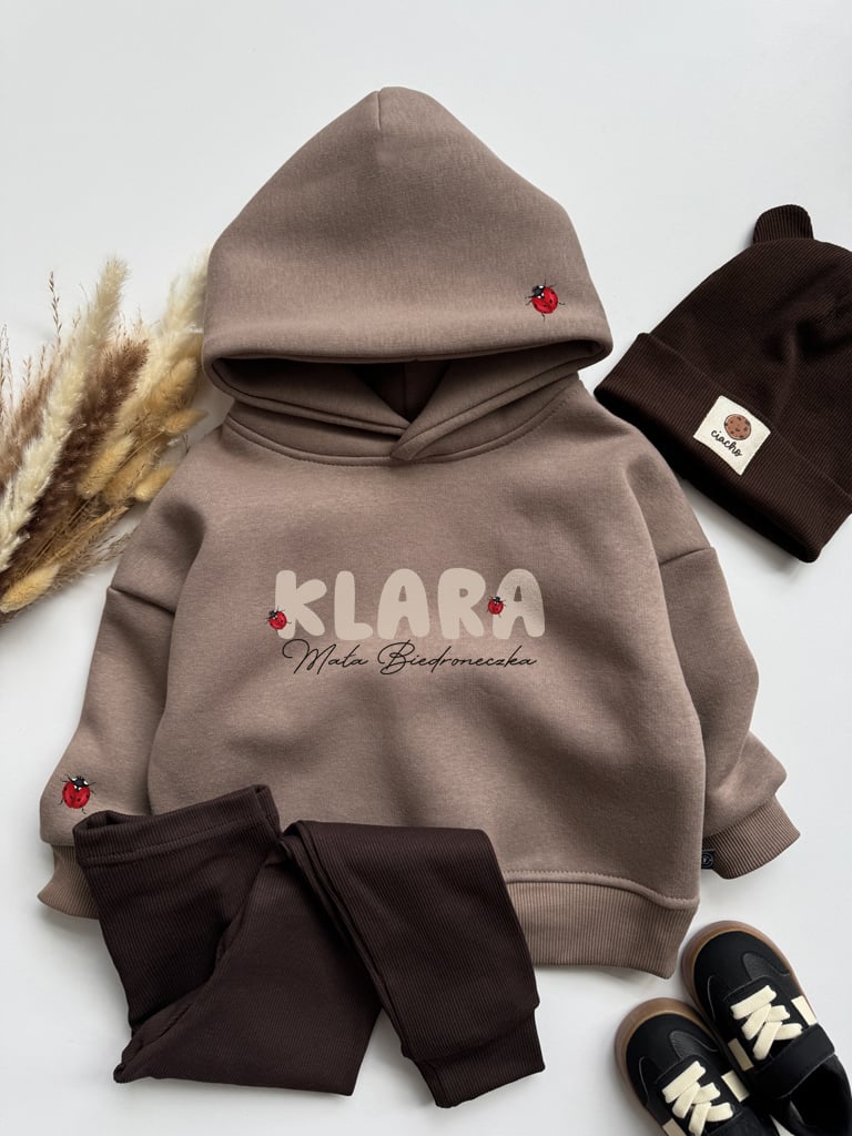 Bluza dziecięca z kapturem mała biedroneczka